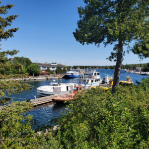 five things to do in tobermory
