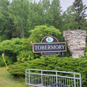 five things to do in tobermory