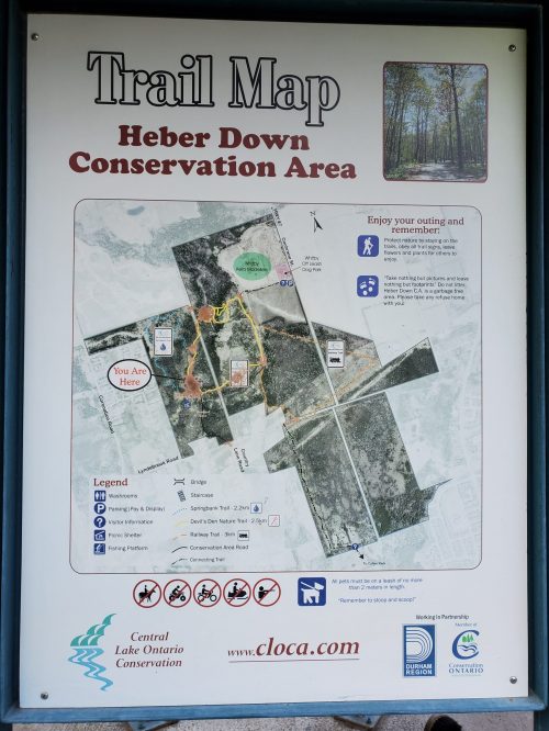 A Hike Through the Heber Down Trails